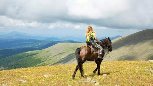 Конные прогулки